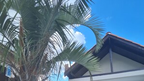 A modern house with a white exterior, a brown door, and a window. - Estalagem Floradas da Serra  (São Joaquim)