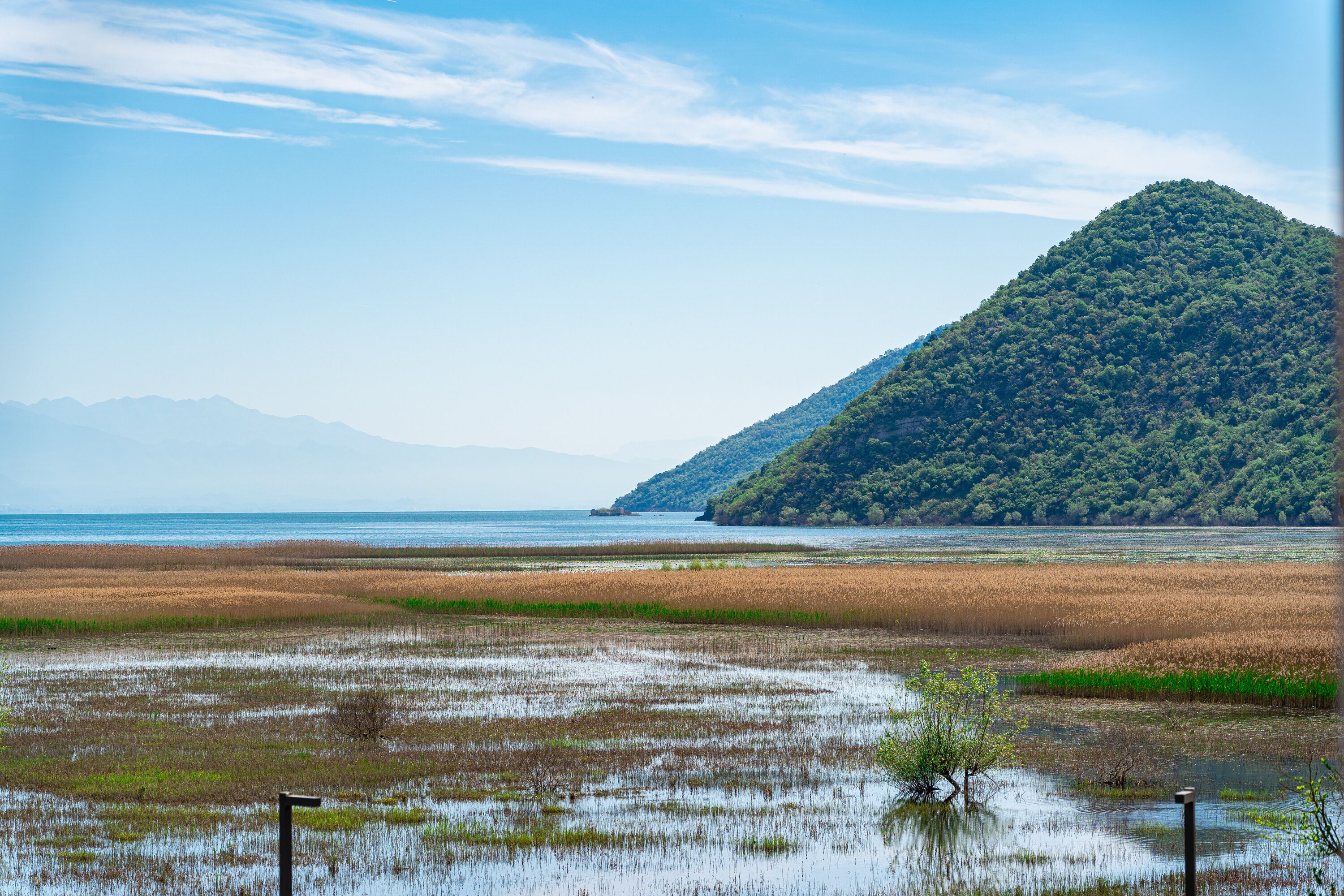 A coastal landscape with a hill, water, and vegetation.