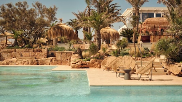 Un área de piscina con agua cristalina, sillas de descanso y palmeras.