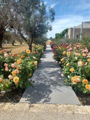Property grounds - House Cellina Elegance and nature with private terrace 3 km from the Ionian Sea (Santa Chiara)