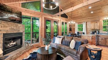 Smart TV, fireplace, books