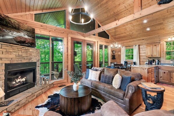 Smart TV, fireplace, books