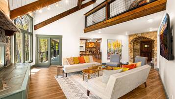 TV, fireplace, books