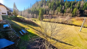Property grounds - Ferienwohnung Schwarzwaldtraum mit Balkon - Mein Schwarzwaldhäusle (Todtmoos)