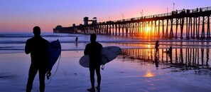 Beach - MB! 8BR Massive Beach Houses steps to sand! (San Diego)