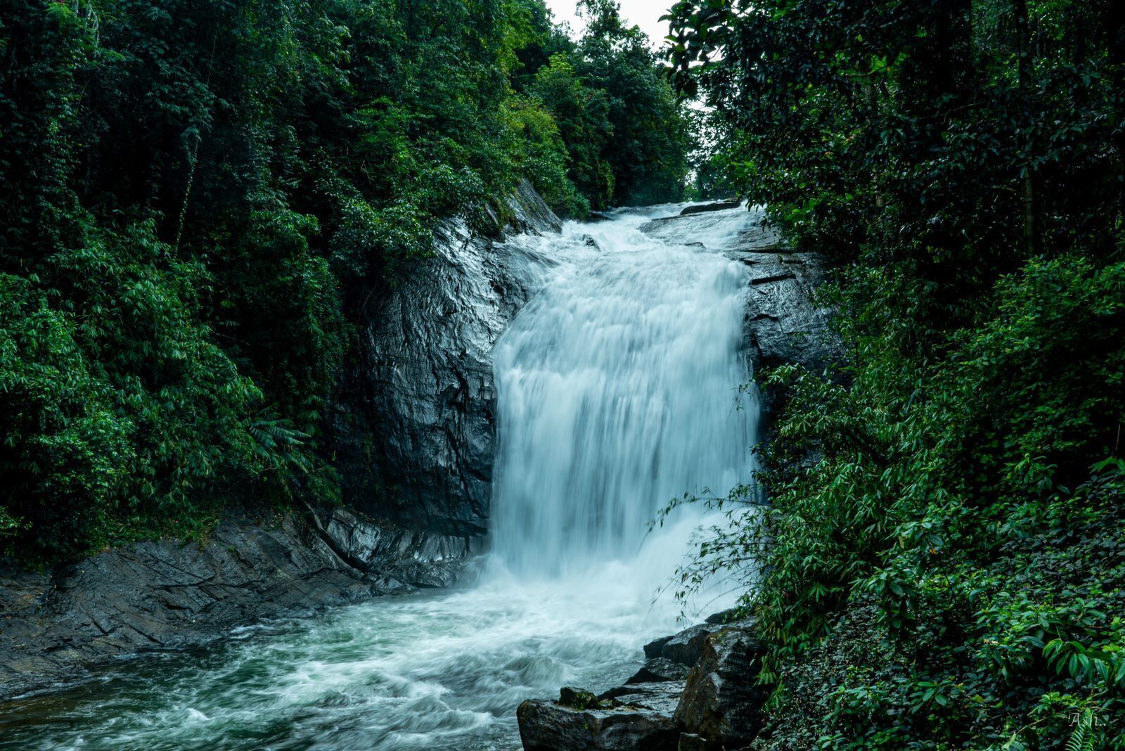 A waterfall surrounded by dense forest.