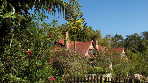 A house surrounded by lush greenery and flowering plants.