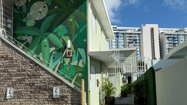 Un estrecho callejón con un mural de hojas y flores tropicales en una pared, una escalera y una entrada con reja.