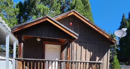 Cozy 1 bedroom cabin in peaceful Trinity Center with AC
