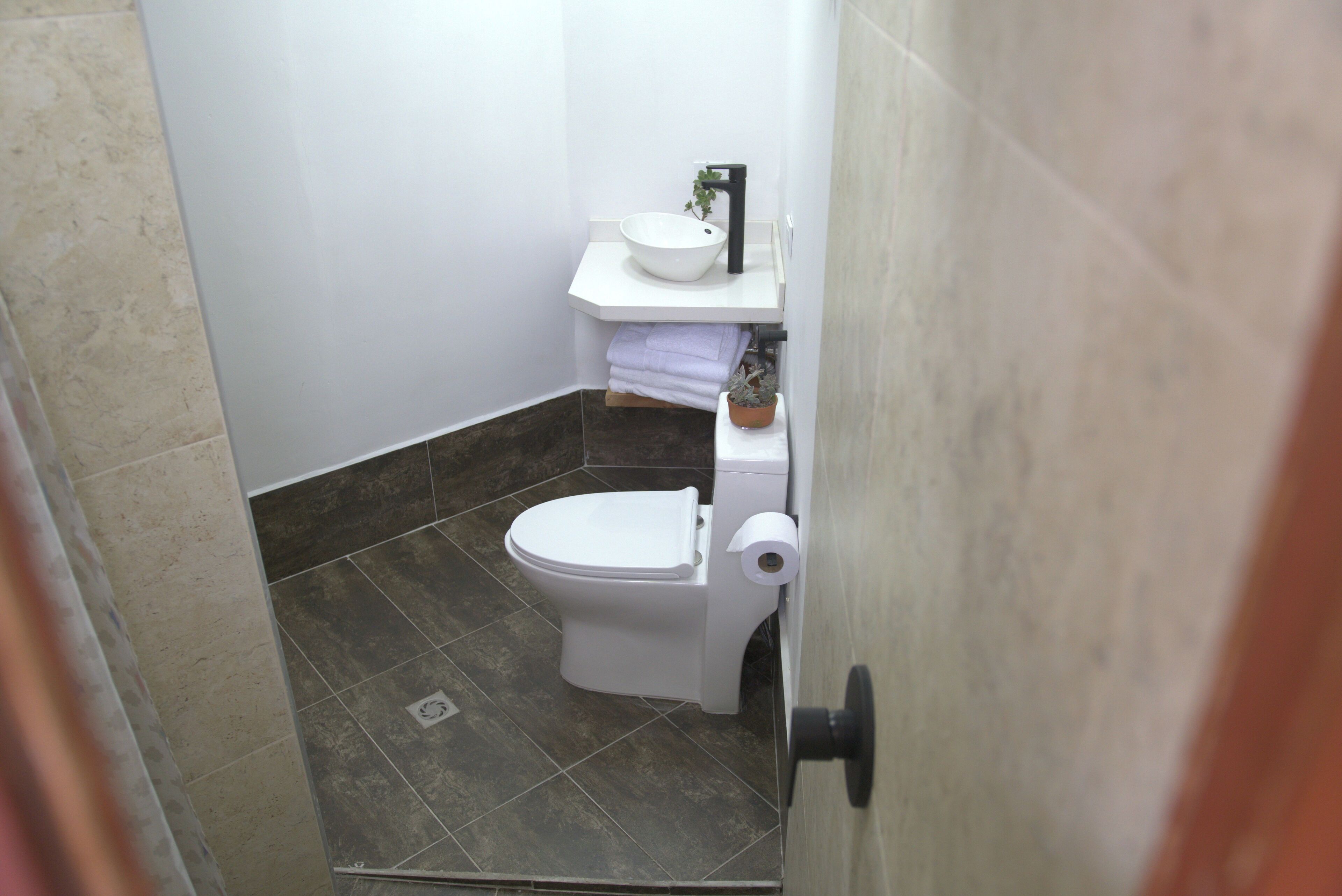 A small bathroom with a toilet, sink, and a potted plant.