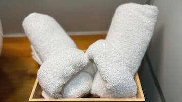 Dusche, Haartrockner, Bidet, Handtücher