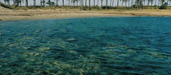 Bonito Apartamento a 250 m del Mar, en Urbanización, Cercana a la Ciudad