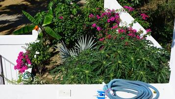 Àrea exterior de l'allotjament