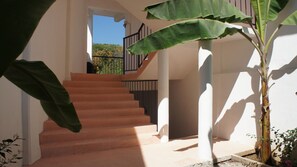 Property grounds - Casa Esperanza Family Hotel (Puerto Ángel)