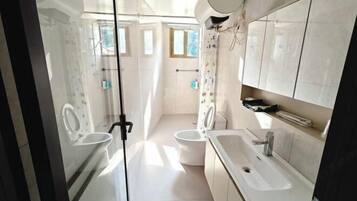 A modern bathroom with a glass shower enclosure, a toilet, a sink, and a mirror.