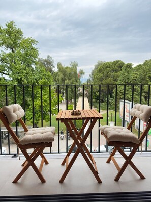 华丽双人房, 公园景观 | 露台