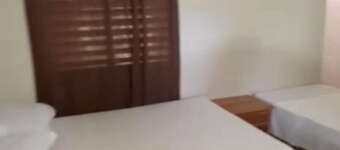 Froggy’s guest house