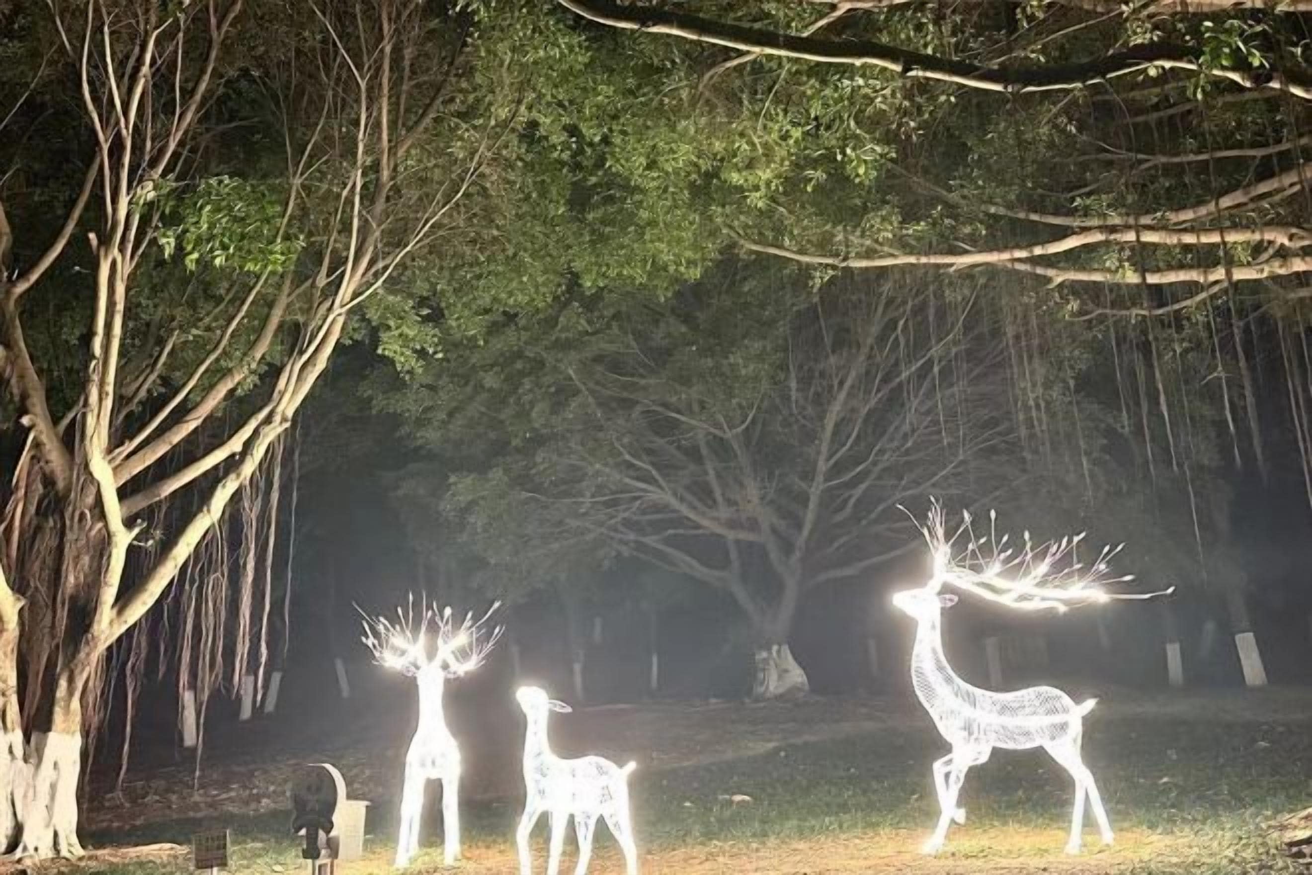 A nighttime outdoor scene with illuminated animal figures, trees, and a clear sky.
