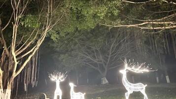 A nighttime outdoor scene with illuminated animal figures, trees, and a clear sky.