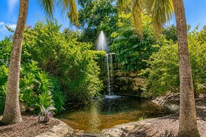 A natural water feature surrounded by lush greenery and trees. - Park Shore Resort-BLDGC#218*Amazingly remodeled* (Park Shore Resort)
