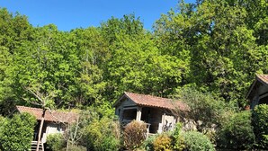 A rustic cabin with a wooden exterior and a tiled roof, surrounded by lush greenery and trees.