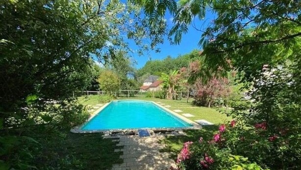 A rectangular swimming pool surrounded by lush greenery and a stone pathway leading to it.