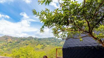 Deluxe Cabin, Balcony, Mountain View | 1 bedroom, down duvets, minibar, individually decorated