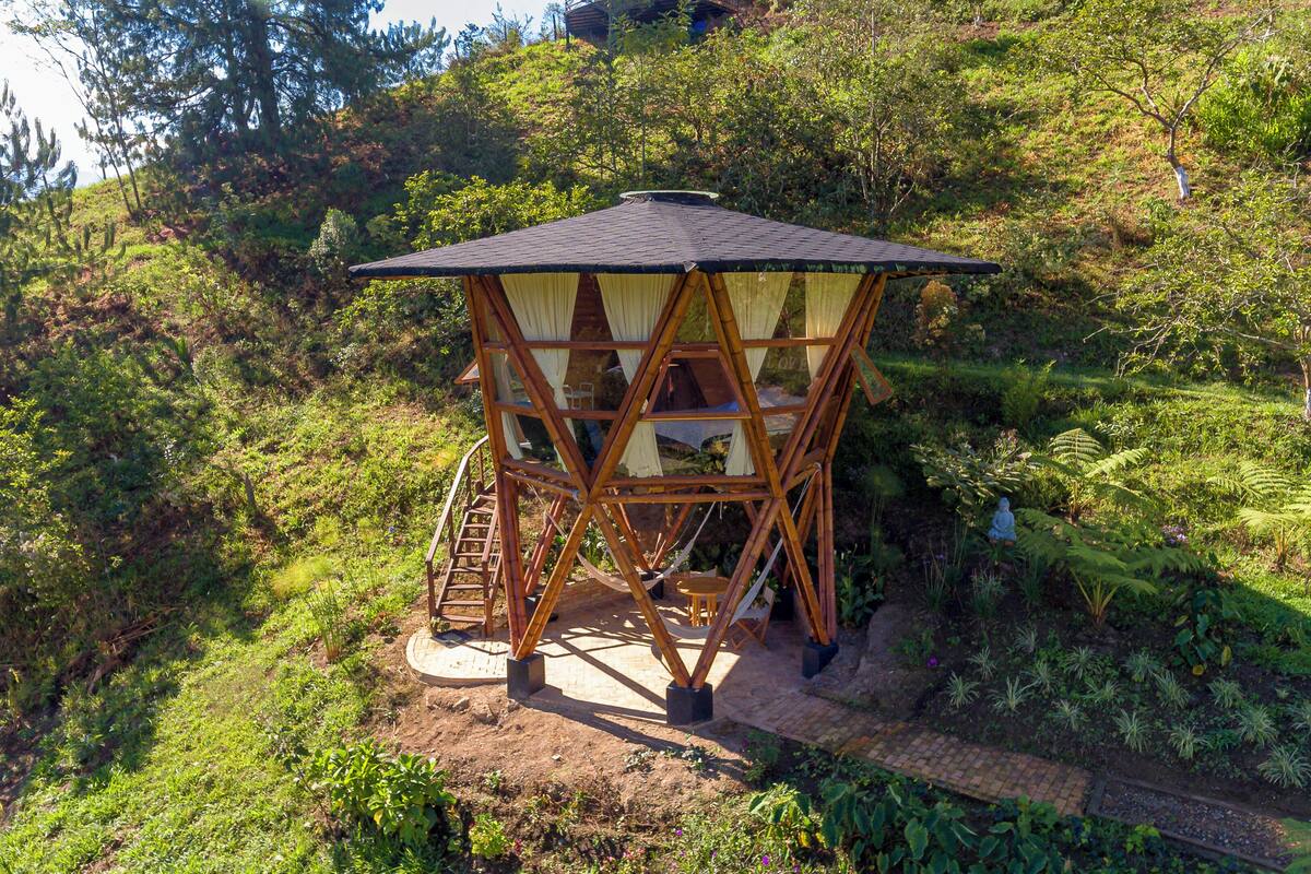 Une cabane en bois perchée dans un arbre, avec un toit de chaume, entourée d’une végétation luxuriante et bordée d’un sentier de terre.