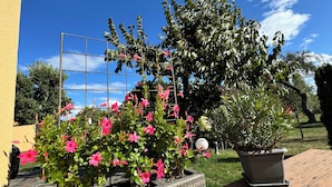 A garden with potted plants and a trellis. - High-quality vacation home near Potsdam, within walking distance of the water. Pet friendly! (Werder (Havel))