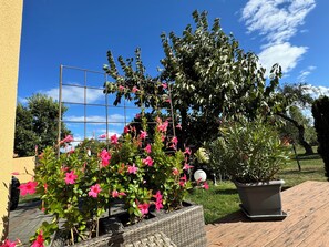 A garden with potted plants and a trellis. - High-quality vacation home near Potsdam, a short walk from the water. Pets welcome! (Werder (Havel))