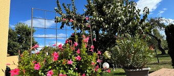 High-quality vacation home near Potsdam, within walking distance of the water. Pet friendly!