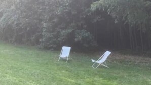 Deux chaises de jardin blanches sont placées sur une pelouse, avec une rangée d’arbres touffus en arrière-plan.
