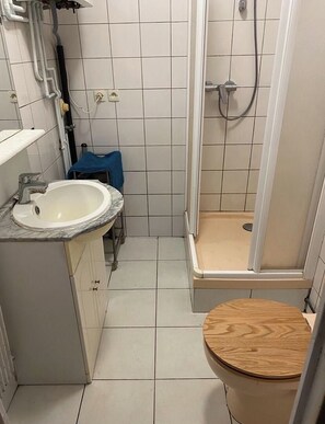 A compact bathroom with a sink, a shower, and a toilet. - 2 Bedroom Private vacation home in Auffargis (Auffargis)