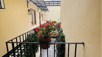 Suite ejecutiva | Terraza o patio