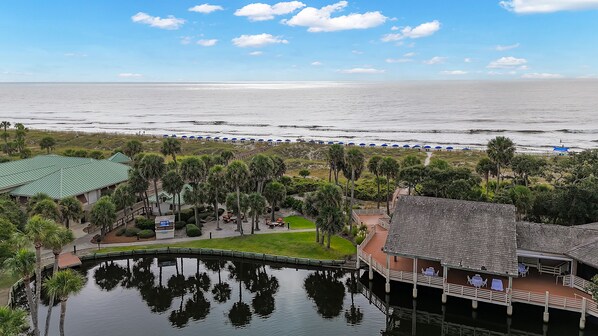 A beachfront hotel with a pool, palm trees, and a view of the ocean.