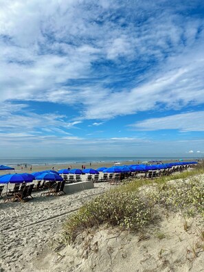 Una spiaggia con file di ombrelloni blu e lettini, un sentiero sabbioso e l'oceano sullo sfondo.