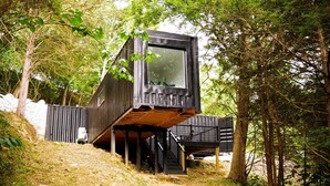 A modern, elevated cabin structure in a forested area with a dirt path leading up to it. - Unique Cabin on the Beechfork River, nestled in the heart of the Bourbon Trail  (Springfield)