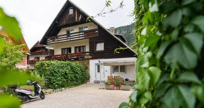 Cosy studio in Bohinjska Bistrica with terrace