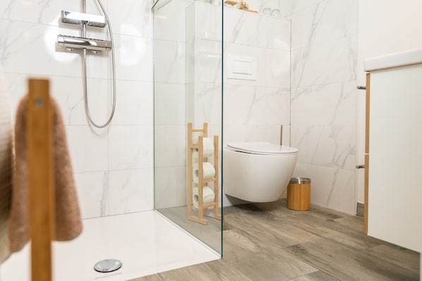 Shower, hair dryer, towels