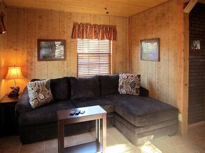 TV, fireplace, ping pong, books