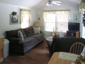 TV, fireplace, table tennis, books - Cozy Cabin in riverfront resort (Inverness)