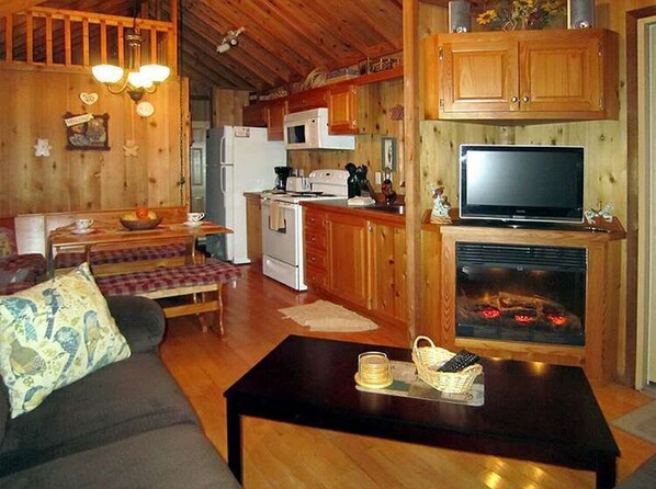 Télévision, cheminée, table de tennis de table, livres