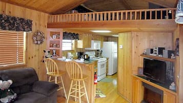 Télévision, cheminée, table de tennis de table, livres