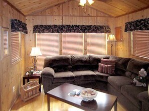 TV, fireplace, ping pong, books