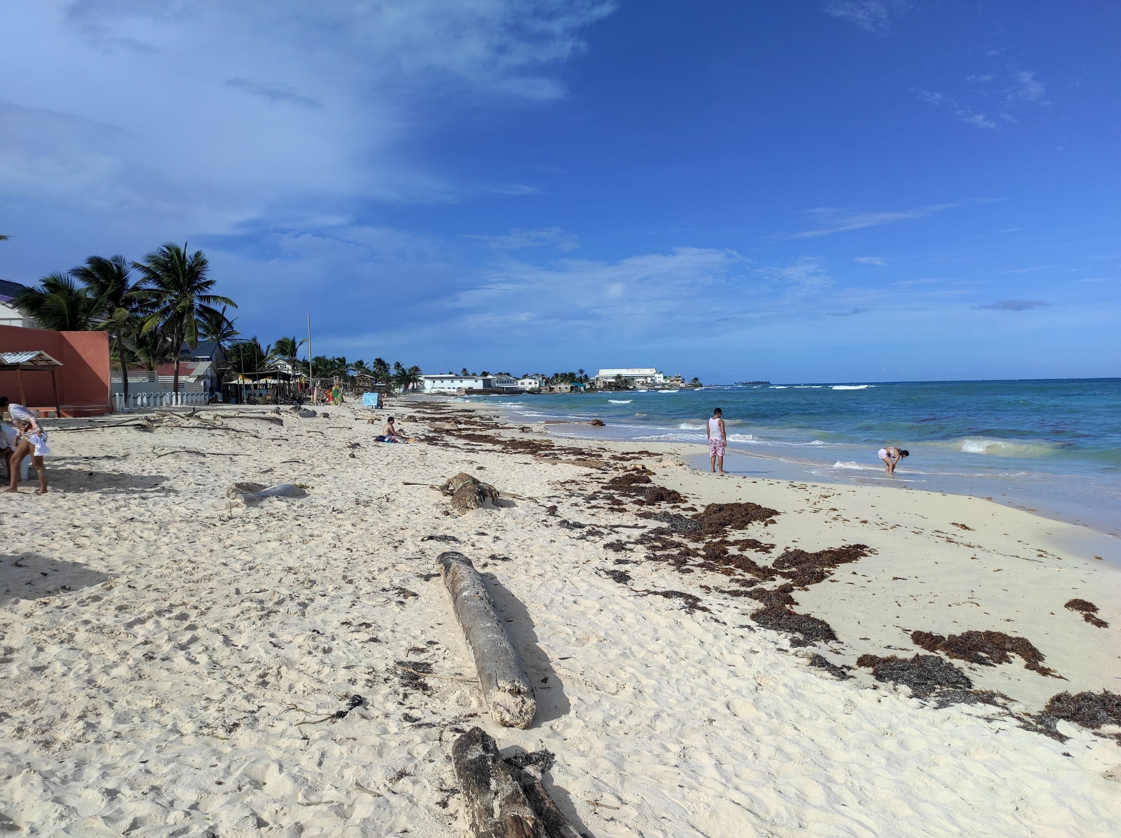 A beach with clear skies, palm trees, and a few people. There are buildings in the background.