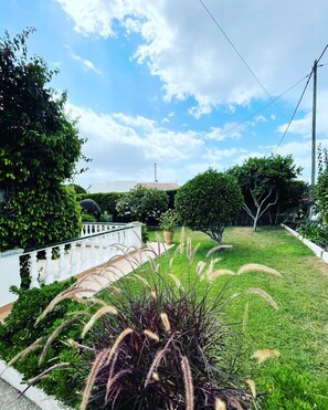 Área da propriedade