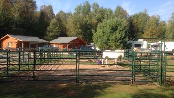 2 bedrooms, bed sheets