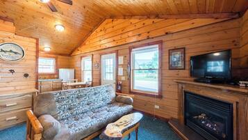 TV, fireplace, offices