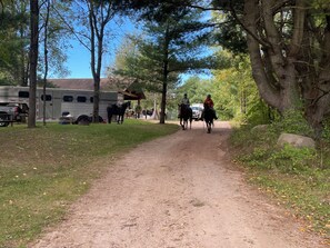 Property grounds - Perfect for Couples, Pet Friendly, Wildlife Theme, Log Cabin, Fireplace (Mountain)