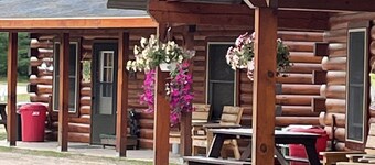 Perfect for Couples, Pet Friendly, Bear Theme, Log Cabin, Fireplace